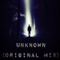 Unknown - (Original Mix )