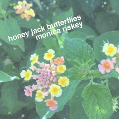 honey jack butterflies