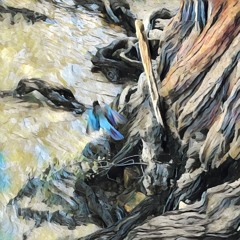 General Anxiety Disorder