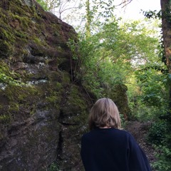 Wolves (lo fi type beat)