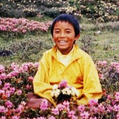 Yongey Mingyur Rinpoche