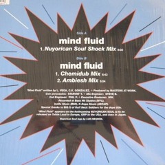 Mind Fluid (Nuyorican Soul) Full  EP
