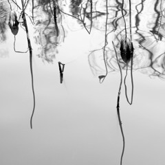 Damage (David Sylvian/Robert Fripp) [free download]