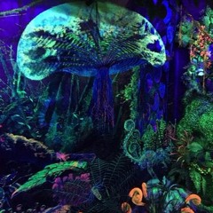 Darkpsy hitech Forest