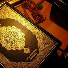 الشيخ محمود الحلفاوي ربع النور