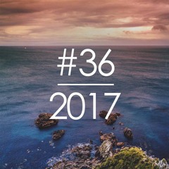 2017#36