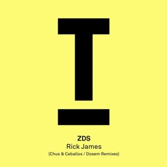 ZDS - Rick James (Chus & Ceballos Remix)
