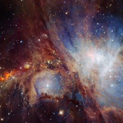 Alex Evans - Stellar Gardens