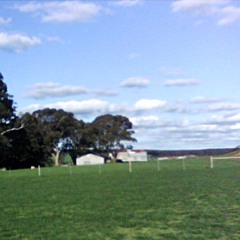 Wodjella dreams of terra nullius