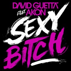 David Guetta Ft Akon - Sexy Bitch (Ilkay Sencan Remix)