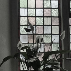 Modern ClassicAL 241112