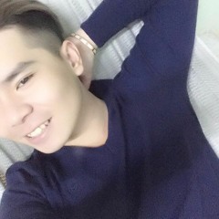 NST Pun Hải Phòng Ver.3