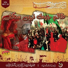 DHUNDUN KAHAN BESHEER KO? | Ahmed Raza Nasiri | Dasta e Imamia Album 2018