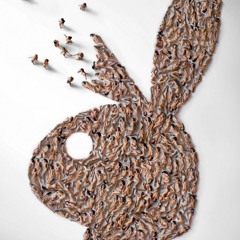 #3Kslap Freestyle (prod. fre$hco)