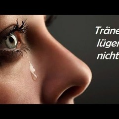 (Tränen Lügen Nicht)  Remix WAV