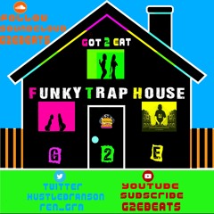 G2E  - The Cure and The Cause(2017 REMIX)