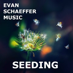 SEEDING (ChillHop | Instrumental) (also on Spotify and iTunes)