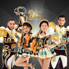 MIX "CLÁSICOS DE PASIÓN CAPORAL" - DJ RORRO