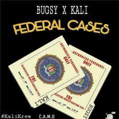 Federal Cases