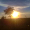 Staring At The Sky Mp3