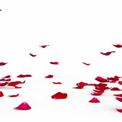 DJ Ky Young - My Everything (part 2)