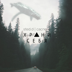 STED.D - Саспенс