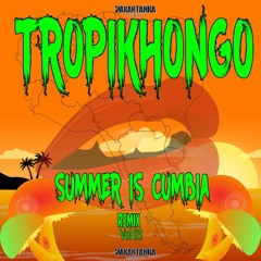 Summer is Cumbia Vol 03 by TropiKhongo - Lupita Mix( full compilation on bandcamp )