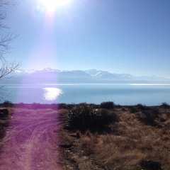 Too Much is All (Liam Roth)