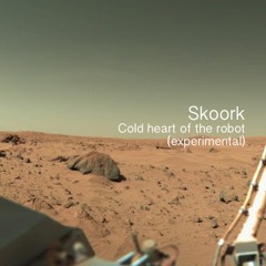 Skoork - Cold Heart Of The Robot