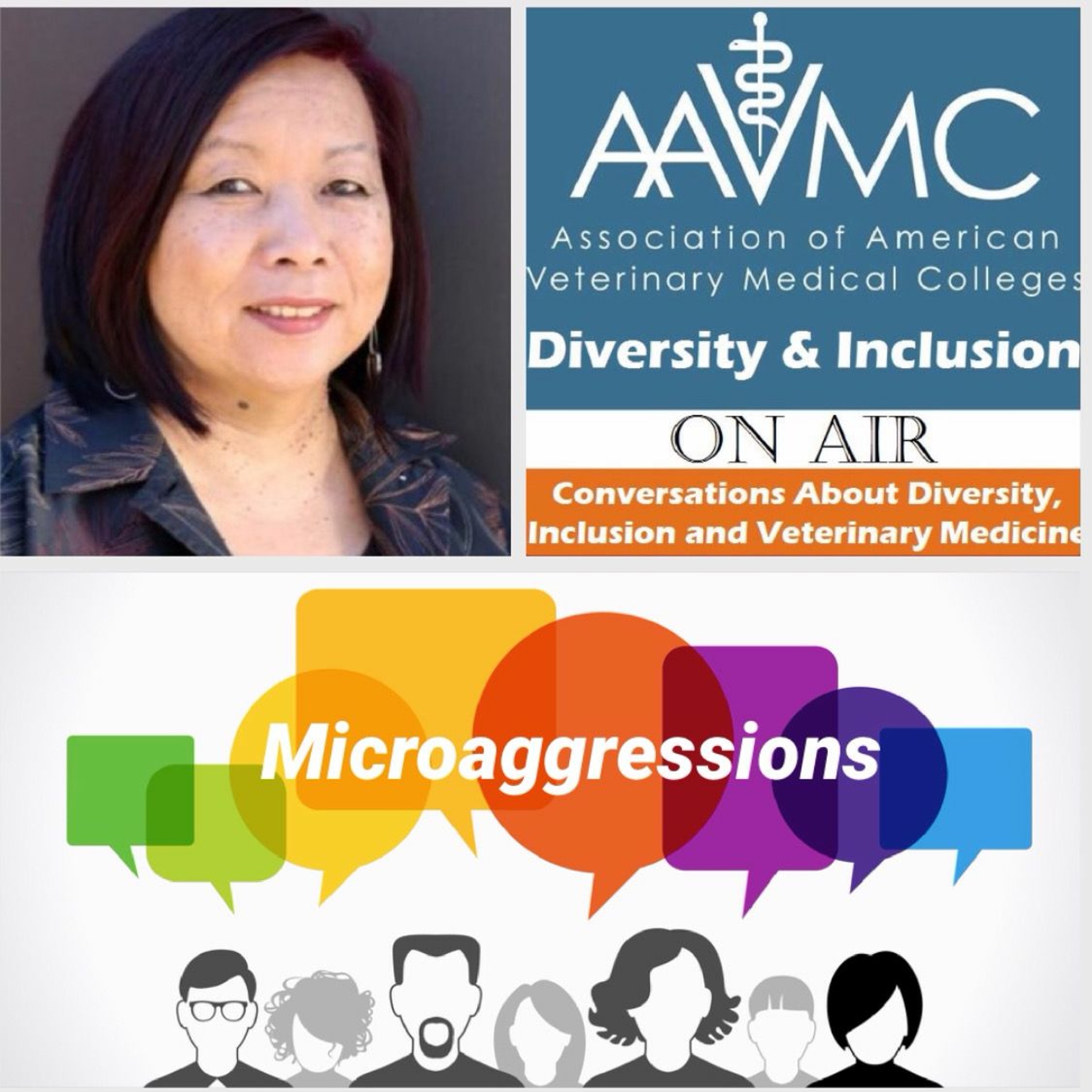 AAVMC\'s On Air: Conversations about Issues in Veterinary Medicine