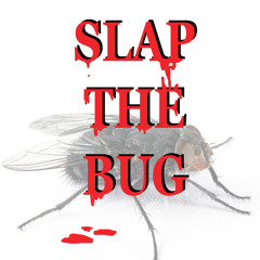 Slap the bug