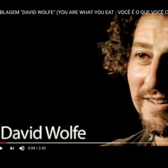 A melhor época de todas (dublagem de David Wolfe)