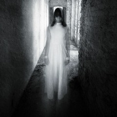 Everybody Has a Ghost