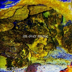 Siggy 808er - Im Over Music