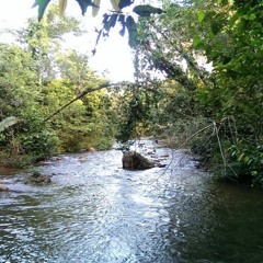 Rap Scholar Down Remix