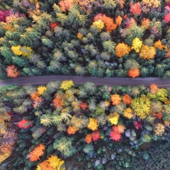 fall
