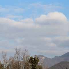 HEAD IN THE CLOUDS