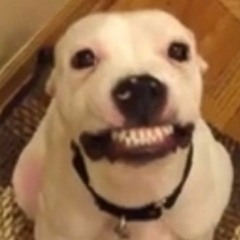 Mashups, songs, and sound clown I post to Discord Part 83