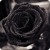 Artwork for Blackest Rose (acoustic solo)