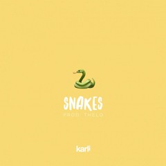 Snakes (prod. Thelo)