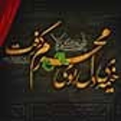 آقا سلام ماه محرم شروع شد + سلام بر اباعبدالله | حاج میثم مطیعی