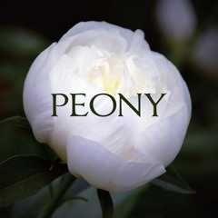 PRNI-0005 "Peony" Crossfade demo ~ 4min Version.