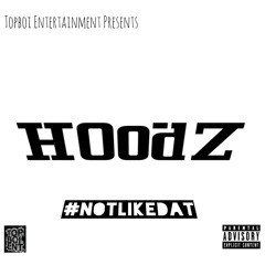 (Not Like That) - Hoodz