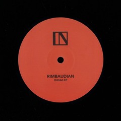 Rimbaudian - Lost And Found ( Preview ) Vinyl