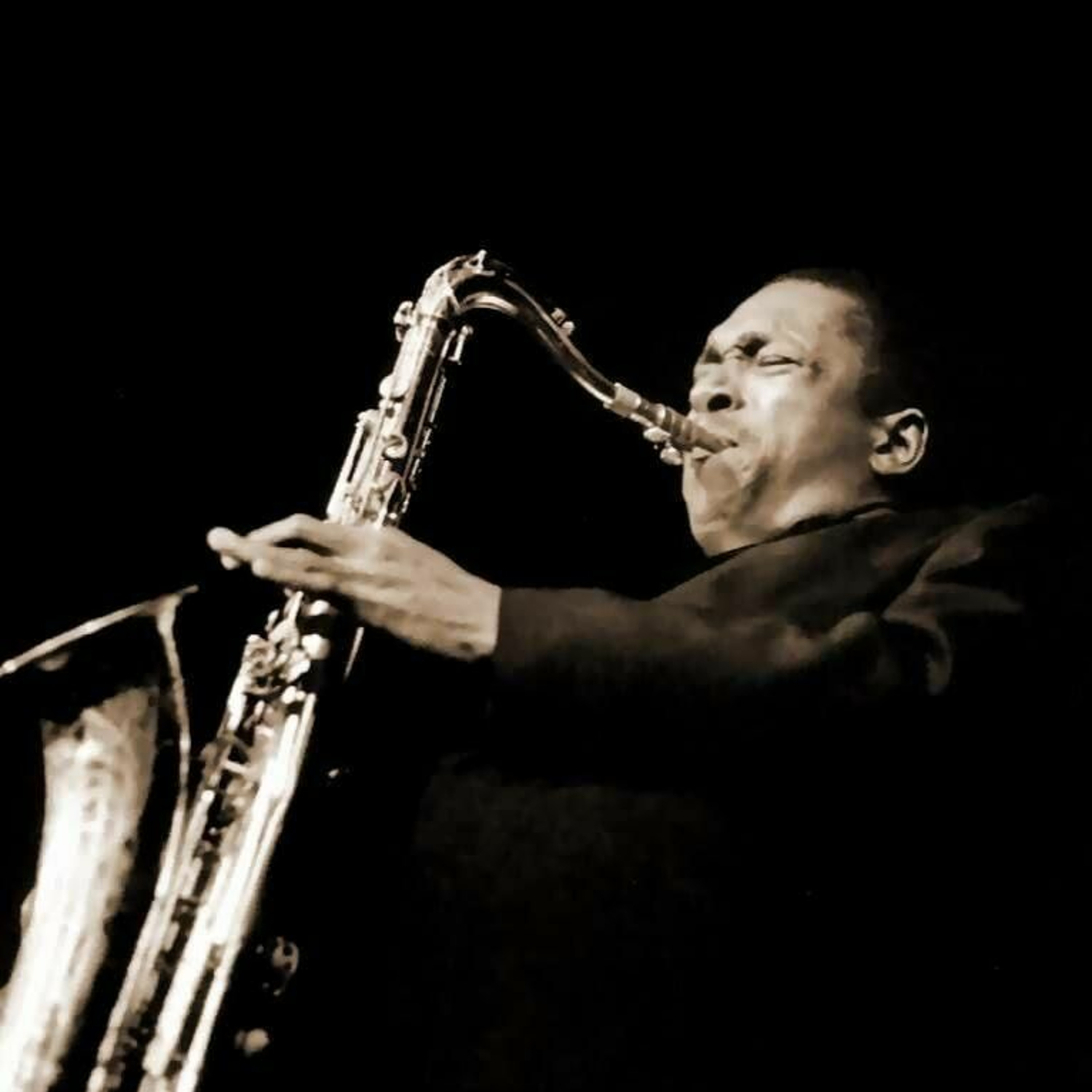 Steve Mauro