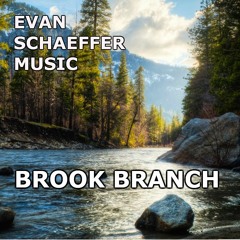 BROOK BRANCH (Ambient Pop | Electronic) (also at Spotify and iTunes)