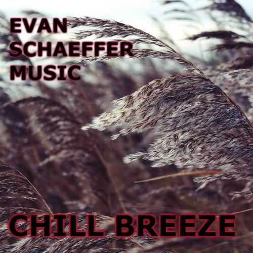 CHILL BREEZE (Electronic | Ambient) (also at Spotify and iTunes)