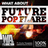 Future Pop Flare Bonus Pack Fl Studio Templates And More Mp3