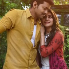 Mersal - Neethanae   A R Rahman   Flute Cover