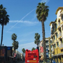 $lim Nate and Friends